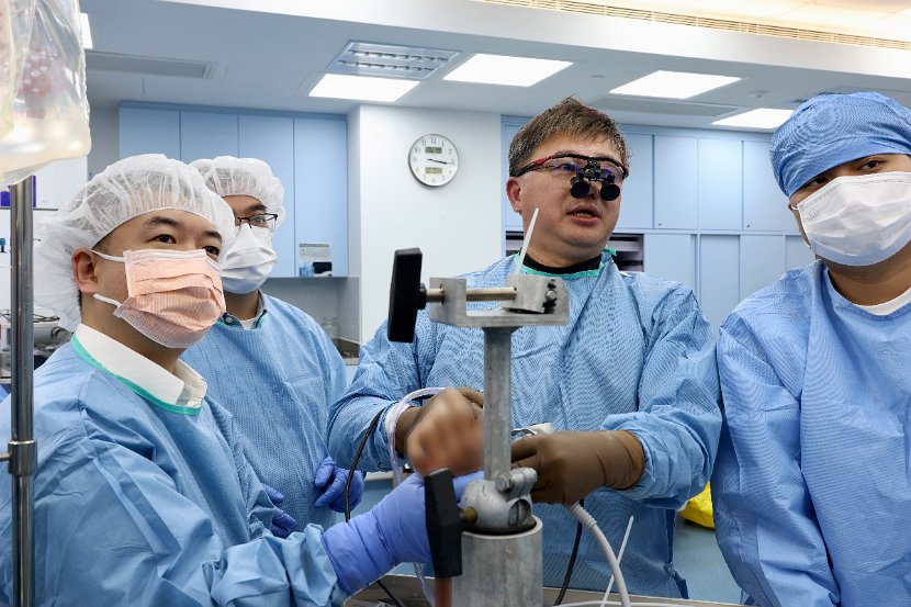 HK Wrist Course 2024 - Workshops  - 205 of 241